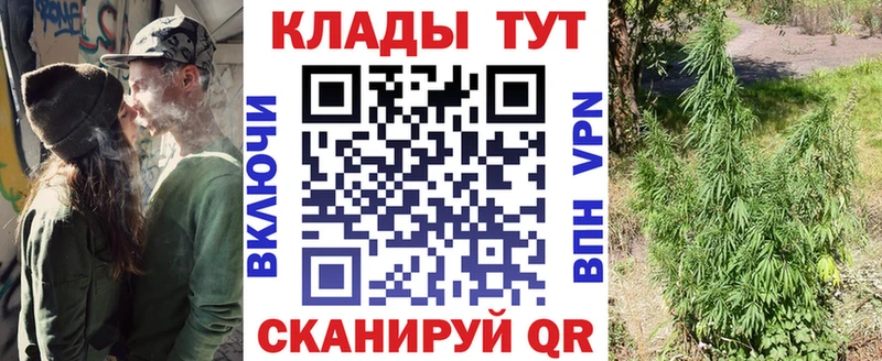 Купить наркотики сайты Малгобек Галлюциногенные грибы  Бутират  Кокаин  Alpha-PVP  ГАШ  НБОМе  АМФЕТАМИН  ОМГ ОМГ   Каннабис  МЕФ 