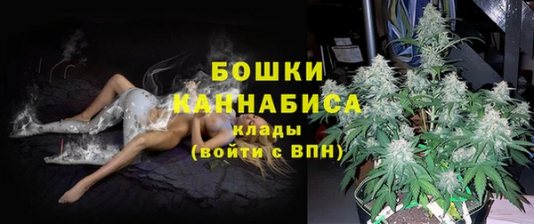 дживик Корсаков
