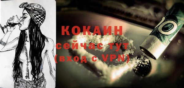 дживик Корсаков