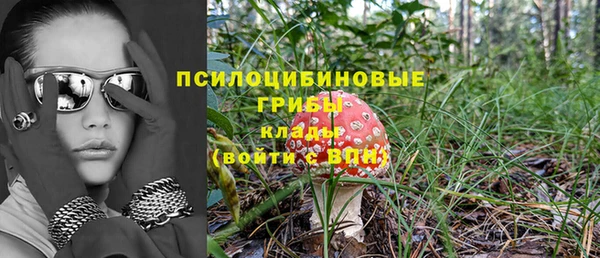 2c-b Костерёво