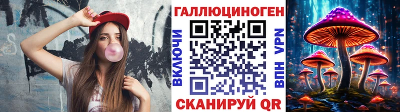 блэк спрут вход  Малгобек  Галлюциногенные грибы Cubensis 